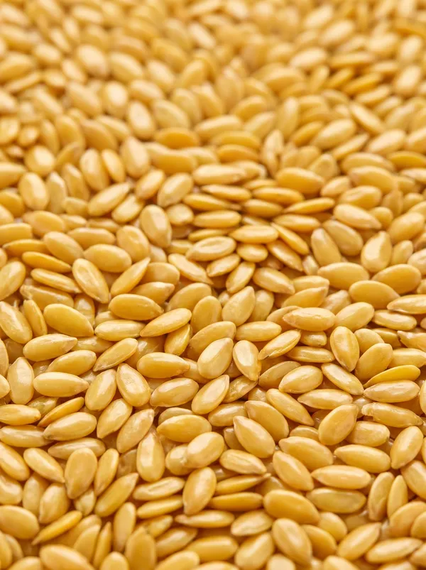 GOLDEN FLAX  - Premium golden flaxseeds prized for their delicate nutty flavor and visual appeal in gourmet baking, muesli mixes, and retail packaging. (SEEDVAL B2B Wholesale)
