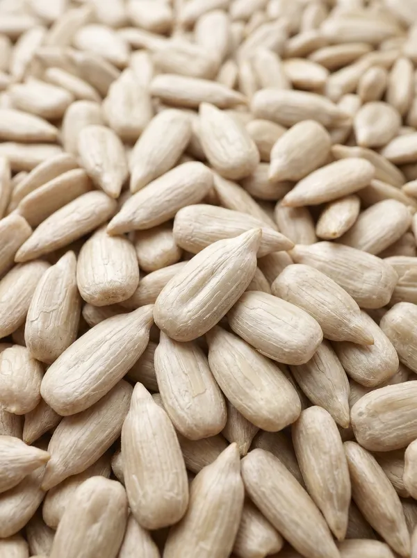 CONFECTIONERY GRADE  - Extra-large premium kernels selected for high-end confectionery toppings, gourmet pastry baking, roasting, and retail snack packaging. (SEEDVAL B2B Wholesale)